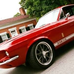 Meet your Posher, Tammy